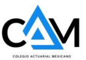 colegioactuarialmexicano.com.mx